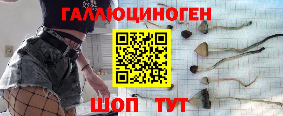 Ртищево  Псилоцибиновые грибы ЛСД  Вход с VPN 